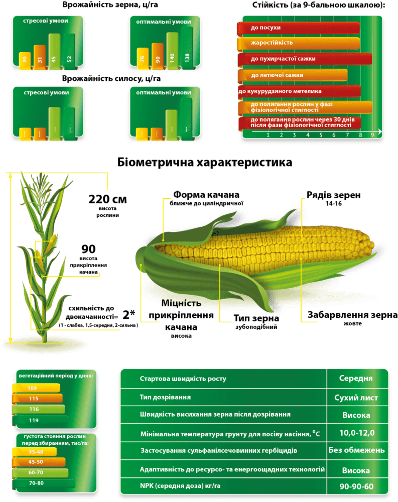%d1%81%d0%bf%d0%bb%d0%b0%d0%b2
