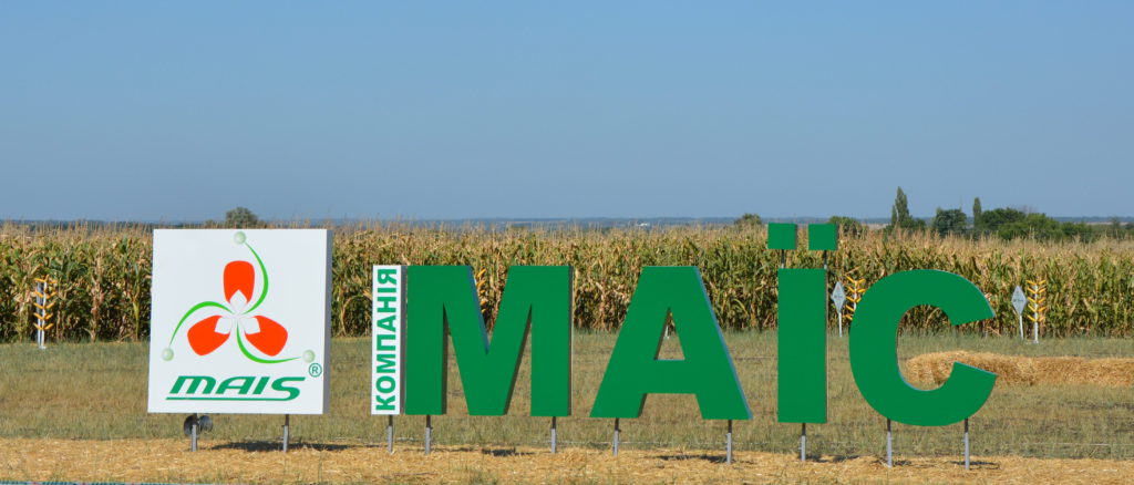 Четверть века среди лидеров селекционеров кукурузы - Компания "МАИС"