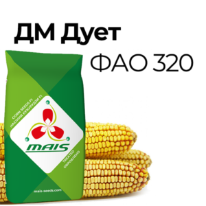 ДМ Дует (ФАО 320) Середньостиглий гібрид кукурудзи