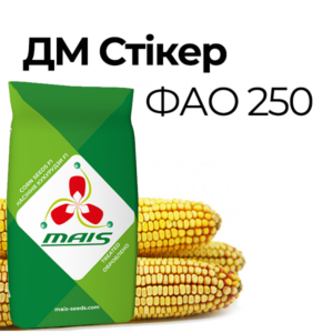 ДМС Стікер (ФАО 250) Середньоранній гібрид кукурудзи