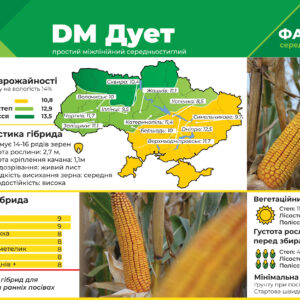 Среднеспелый гибрид кукурузы ДМ Дует (ФАО 320)