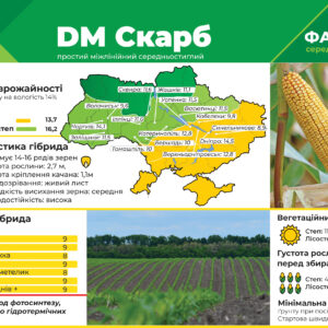 Среднеспелый гибрид кукурузы ДМ Скарб (ФАО 330)