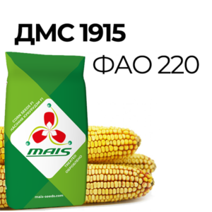 ДМС 1915 (ФАО 230) Ранньостиглий гібрид кукурудзи