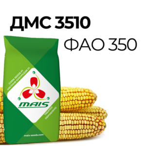 Среднеспелый гибрид кукурузы ДМС 3510 (ФАО 350)