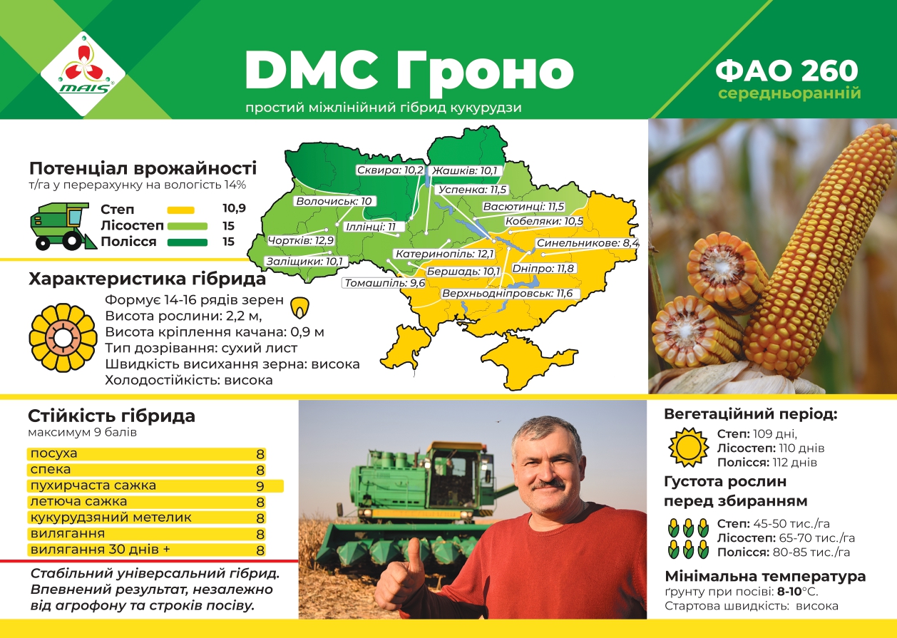 ДМС Гроно (ФАО 260) Середньоранній гібрид кукурудзи