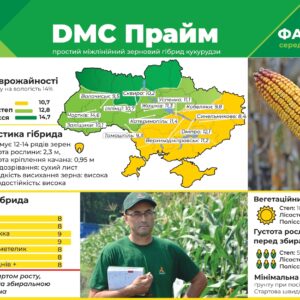 ДМС Прайм (ФАО 260) Середньоранній гібрид кукурудзи