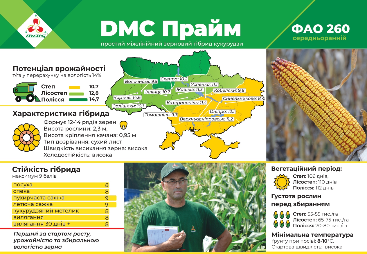 ДМС Прайм (ФАО 260) Середньоранній гібрид кукурудзи