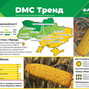 Среднеранний гибрид кукурузы ДМС Тренд (ФАО 290)