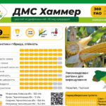 ДМС Хаммер фао 360