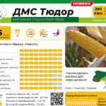 ДМС Тюдор